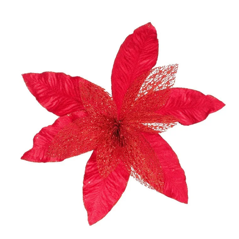 Jumbo Lacy Poinsettia, Asstd