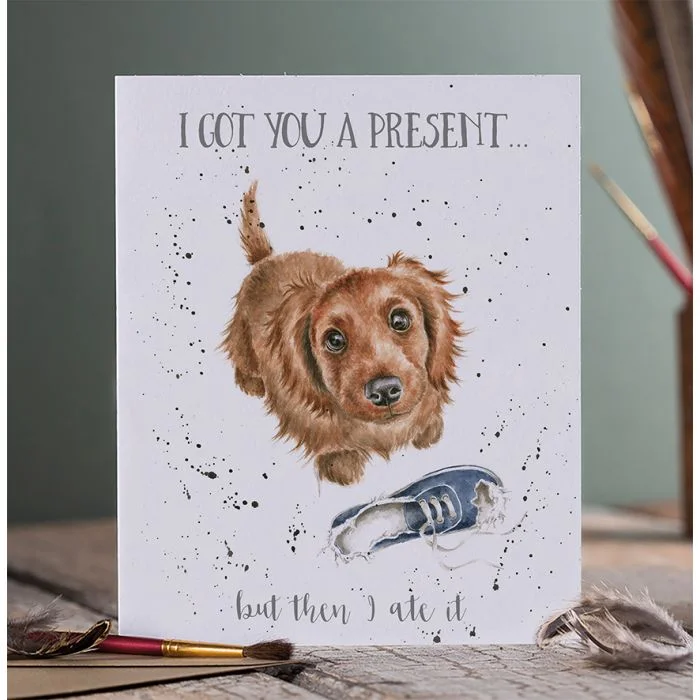 Greetings Card - I got you a Present 13347