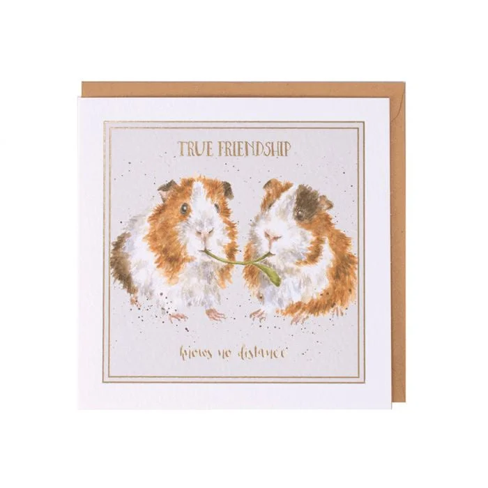 Greetings Card - True Friendship 13357