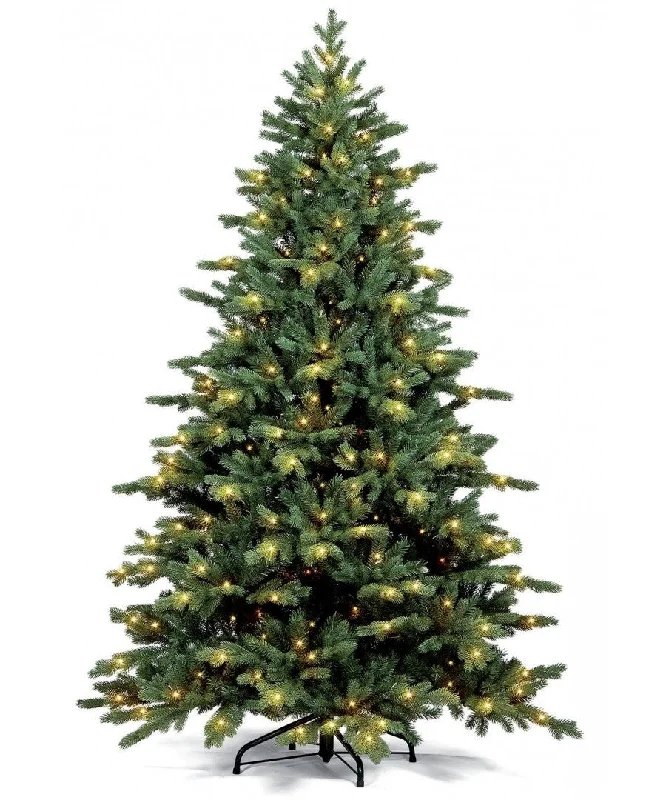 Fraser Fir Tree