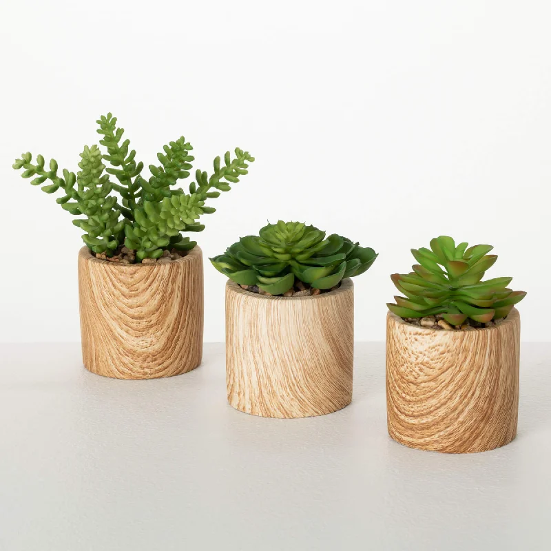 Wooden Potted Succulent Set