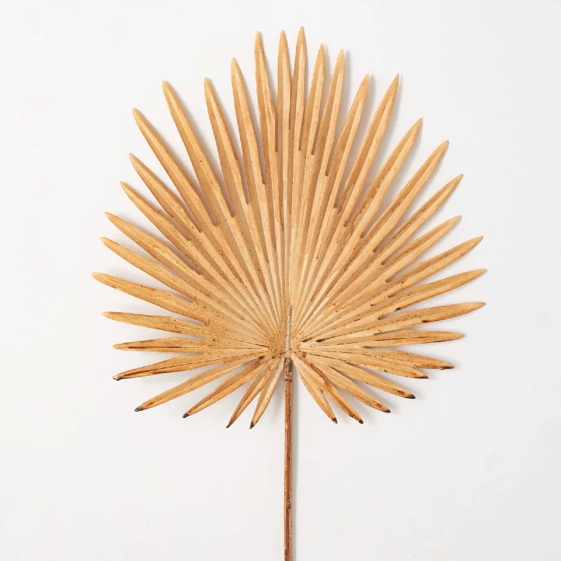 Beige Fan Palm Leaf