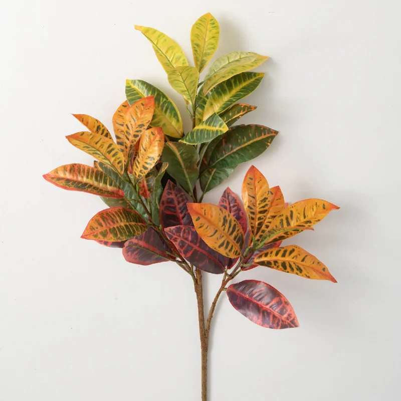 Blended Hue Croton Foliage