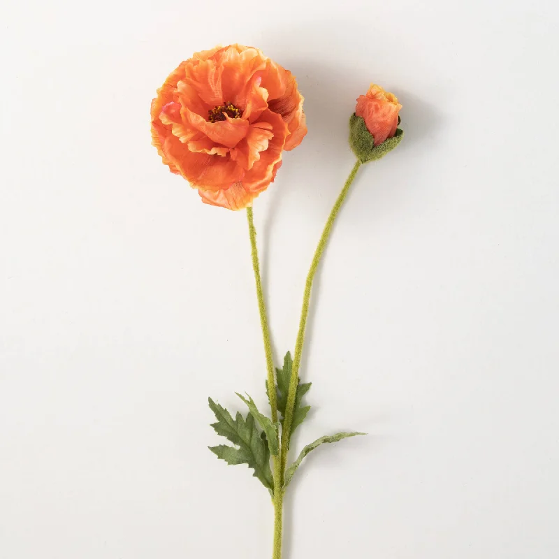 Cosmic Orange Poppy With Bud