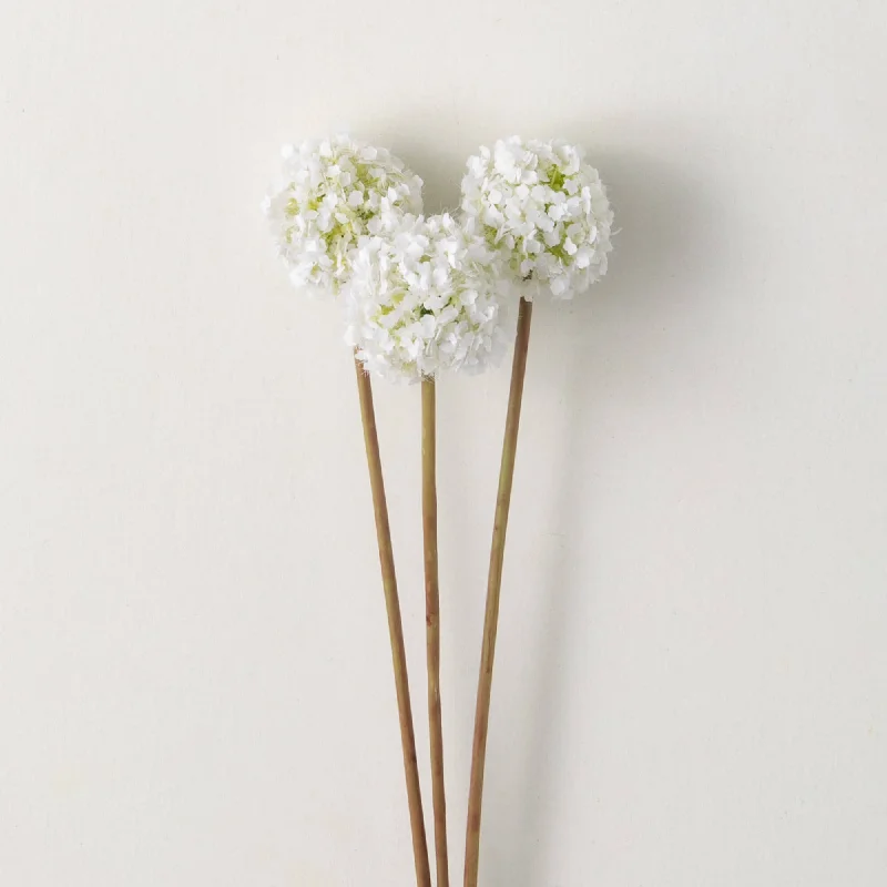 White Allium Spring Bunch