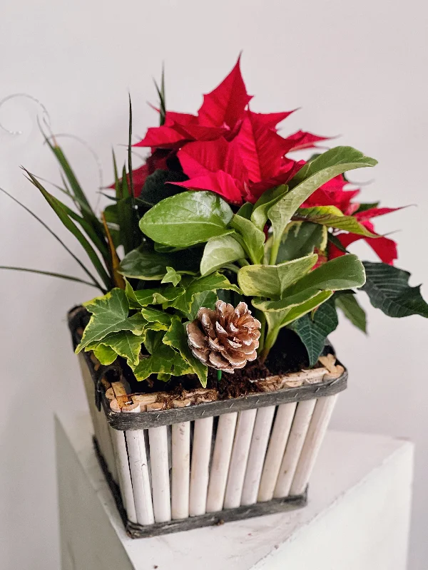 Holiday Planter