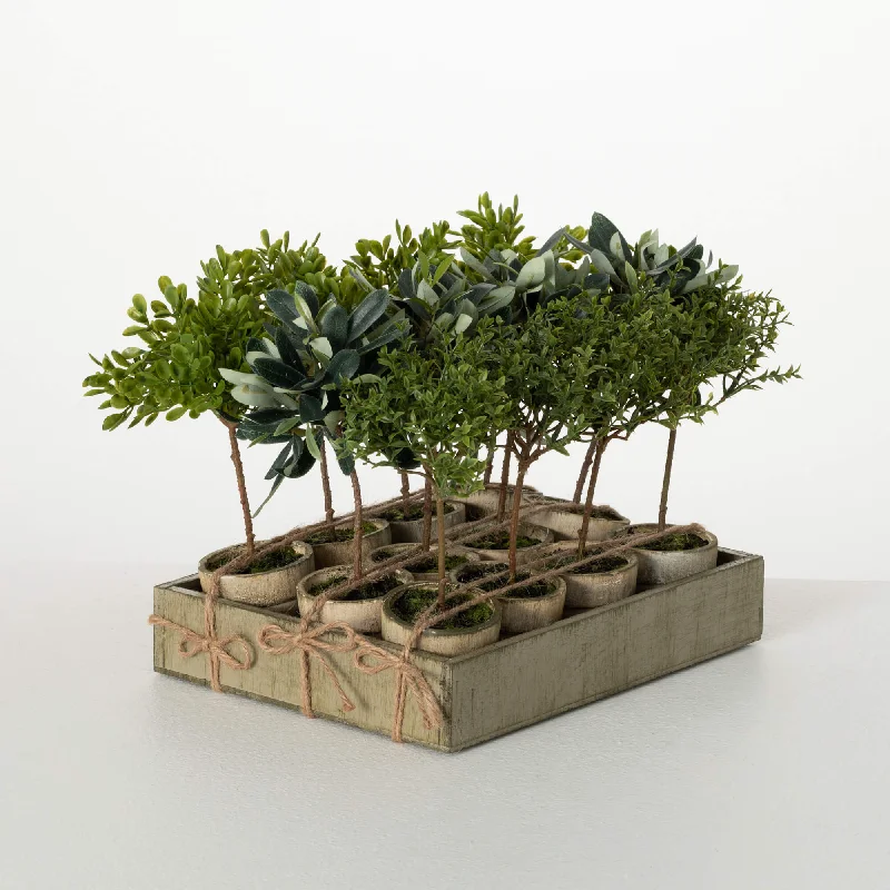 Rustic Potted Mini Tree