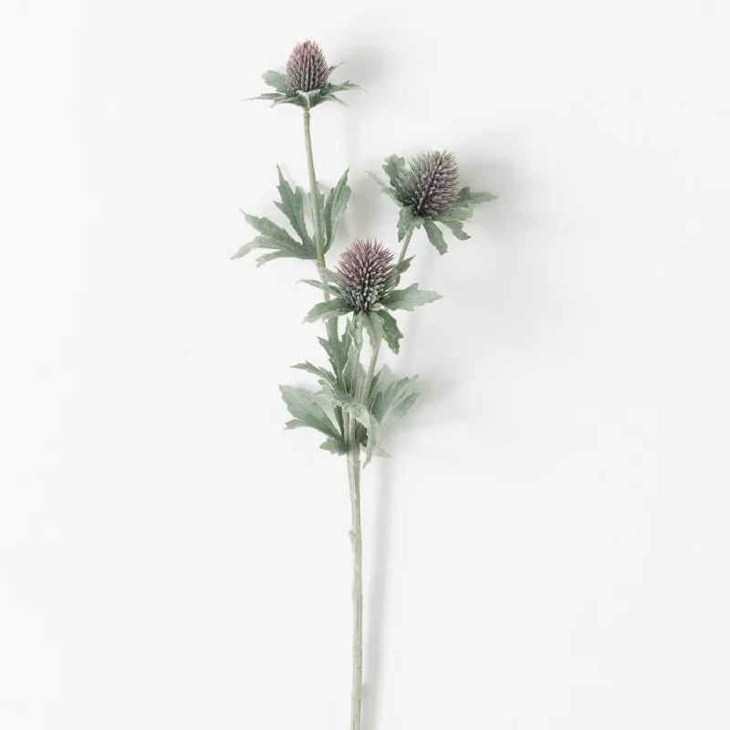 Thistle Stem