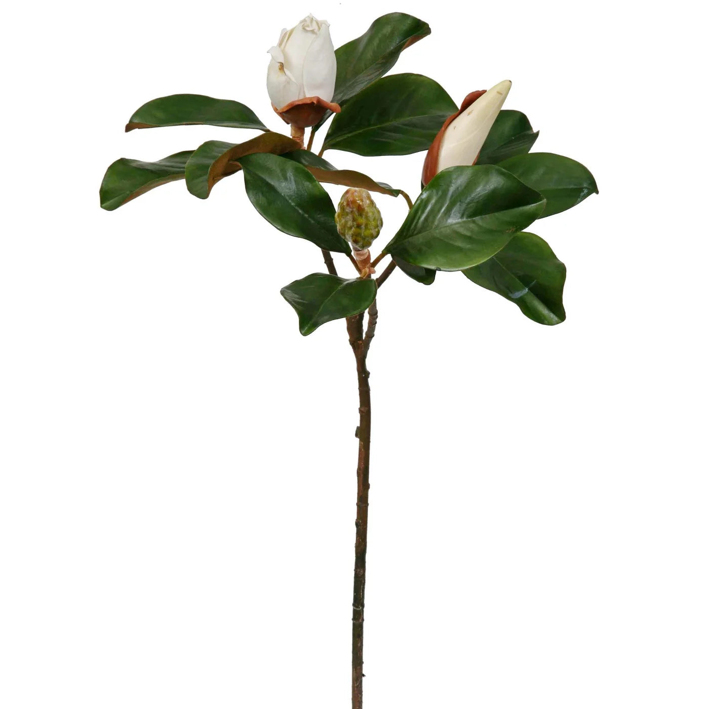 Real Touch Large Magnolia Bud Large Branch Stem 31"